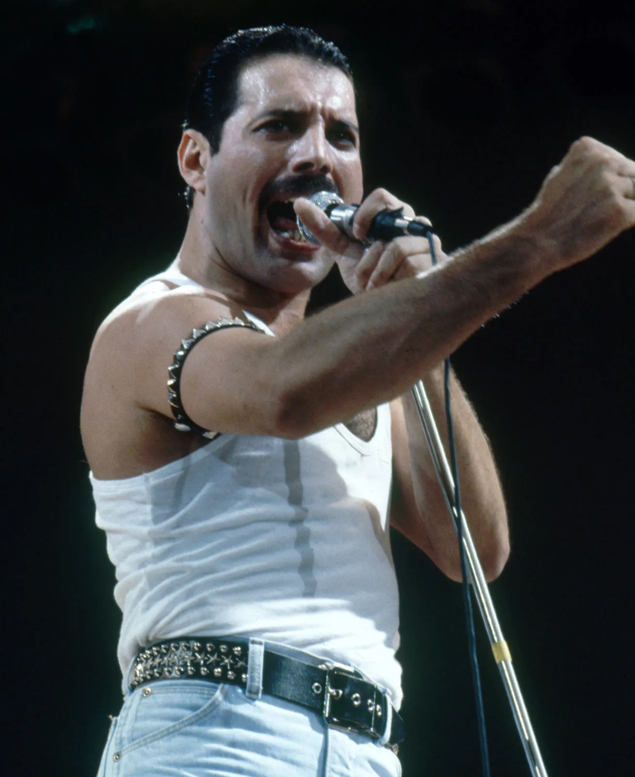 Freddie Mercury - Live Aid